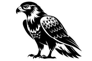 buzzard silhouette line art vector illustration with a white background