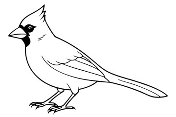 cardinal silhouette line art vector illustration with a white background