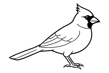 cardinal silhouette line art vector illustration with a white background
