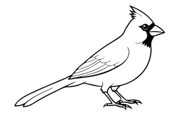 cardinal silhouette line art vector illustration with a white background