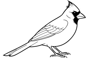 cardinal silhouette line art vector illustration with a white background © pipp99