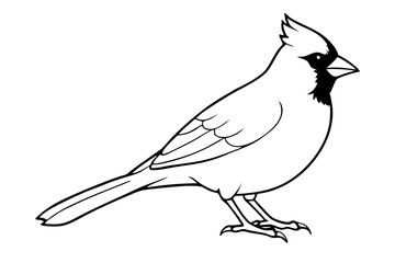 cardinal silhouette line art vector illustration with a white background