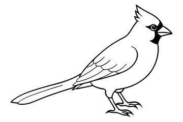 cardinal silhouette line art vector illustration with a white background
