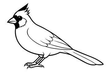 cardinal silhouette line art vector illustration with a white background