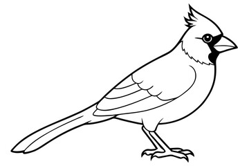 cardinal silhouette line art vector illustration with a white background