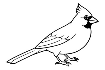 cardinal silhouette line art vector illustration with a white background