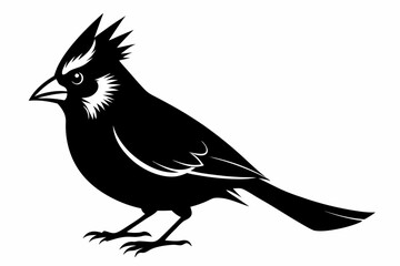 cardinal silhouette line art vector illustration with a white background