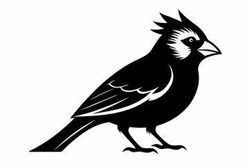 Obraz premium cardinal silhouette line art vector illustration with a white background