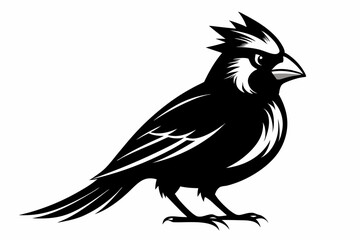 cardinal silhouette line art vector illustration with a white background