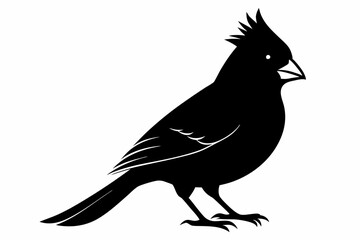 cardinal silhouette line art vector illustration with a white background