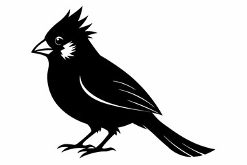 cardinal silhouette line art vector illustration with a white background