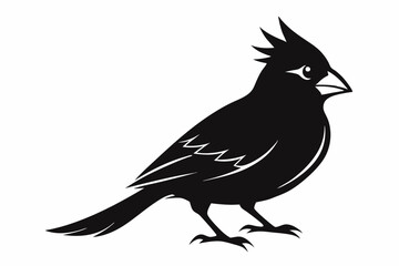 cardinal silhouette line art vector illustration with a white background