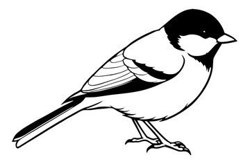 chickadee silhouette line art vector illustration with a white background