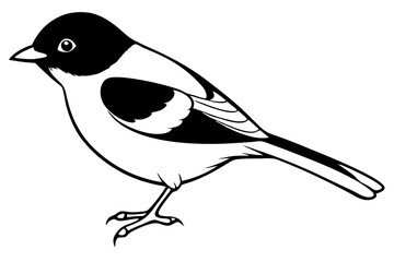 chickadee silhouette line art vector illustration with a white background