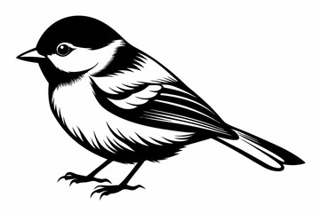 chickadee silhouette line art vector illustration with a white background