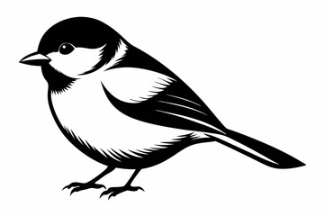 chickadee silhouette line art vector illustration with a white background © pipp99