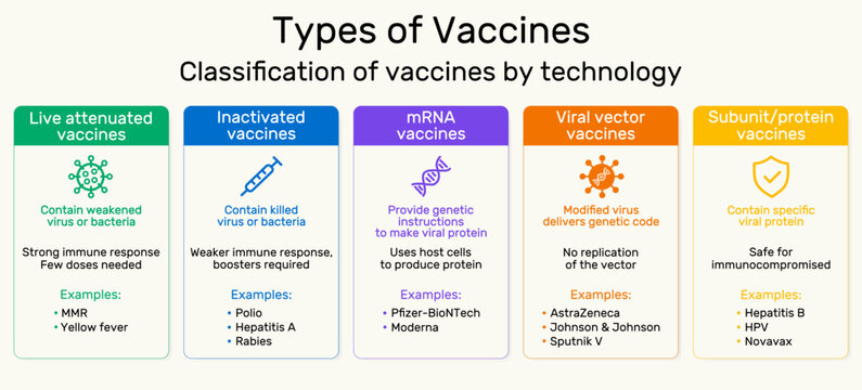 Types of vaccines infographic. Classification by technology. Live attenuated, inactivated, mRNA, viral vector and subunit vaccines