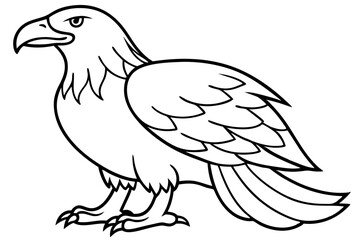 eagle silhouette line art vector illustration with a white background