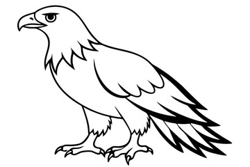 eagle silhouette line art vector illustration with a white background