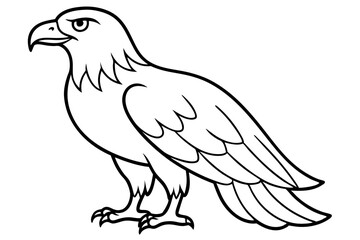 eagle silhouette line art vector illustration with a white background