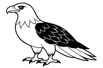 eagle silhouette line art vector illustration with a white background