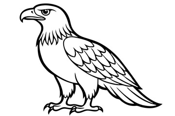 eagle silhouette line art vector illustration with a white background
