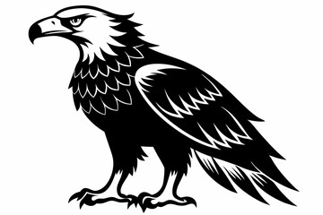 eagle silhouette line art vector illustration with a white background
