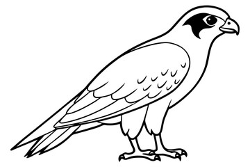 Fototapeta premium falcon silhouette line art vector illustration with a white background