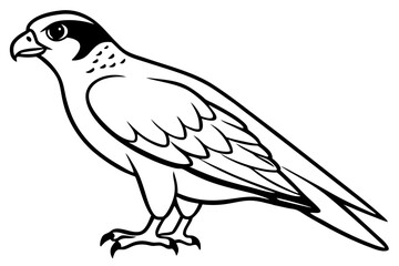 Obraz premium falcon silhouette line art vector illustration with a white background