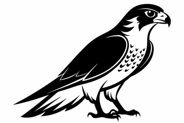 Obraz premium falcon silhouette line art vector illustration with a white background