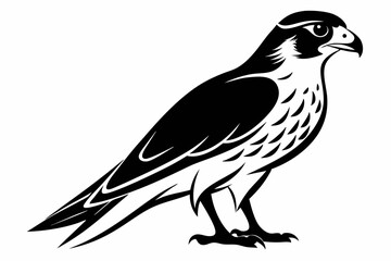 Obraz premium falcon silhouette line art vector illustration with a white background