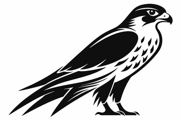 falcon silhouette line art vector illustration with a white background