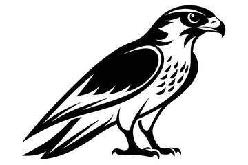 Obraz premium falcon silhouette line art vector illustration with a white background