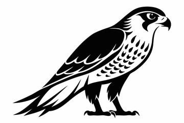 Obraz premium falcon silhouette line art vector illustration with a white background