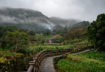 lovely countryside field in Yangmingshan National Park, in Taipei, Taiwan.