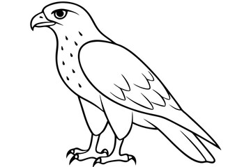 hawk silhouette line art vector illustration with a white background