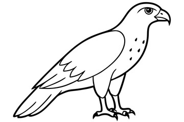 hawk silhouette line art vector illustration with a white background