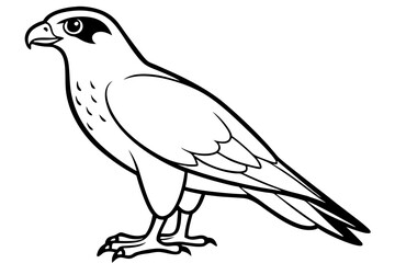 hawk silhouette line art vector illustration with a white background