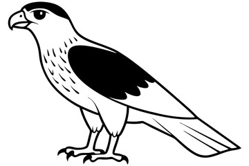 hawk silhouette line art vector illustration with a white background