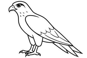 hawk silhouette line art vector illustration with a white background