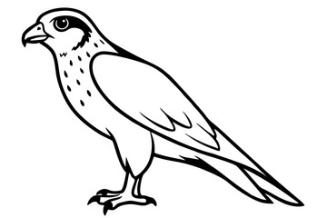 hawk silhouette line art vector illustration with a white background