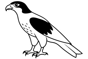 hawk silhouette line art vector illustration with a white background