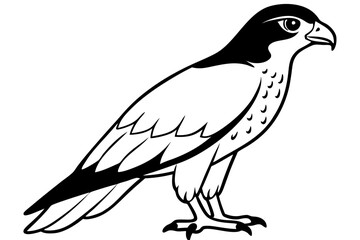hawk silhouette line art vector illustration with a white background