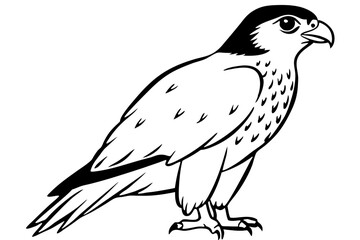Obraz premium hawk silhouette line art vector illustration with a white background