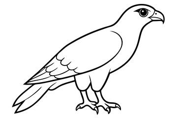 hawk silhouette line art vector illustration with a white background