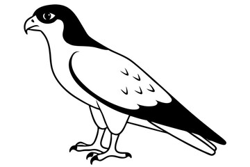 hawk silhouette line art vector illustration with a white background