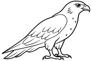 hawk silhouette line art vector illustration with a white background