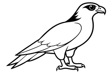 hawk silhouette line art vector illustration with a white background