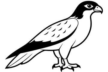 Obraz premium hawk silhouette line art vector illustration with a white background
