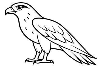 hawk silhouette line art vector illustration with a white background